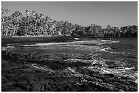 Punaluu beach. Big Island, Hawaii, USA ( black and white)