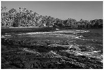 Punaluu beach. Big Island, Hawaii, USA (black and white)