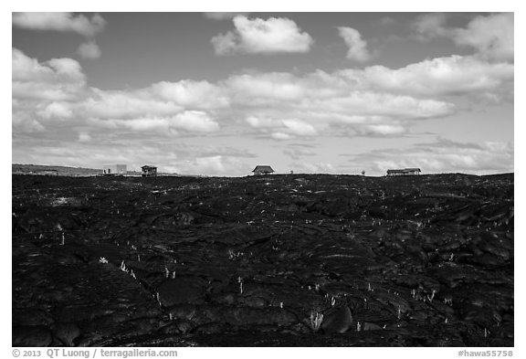 Houses on fresh lava field, Kalapana. Big Island, Hawaii, USA (black and white)