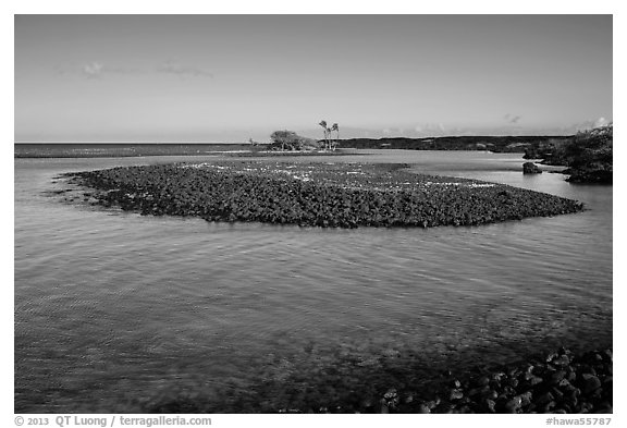 Volcanic rocks islet, Kiholo Bay. Big Island, Hawaii, USA (black and white)