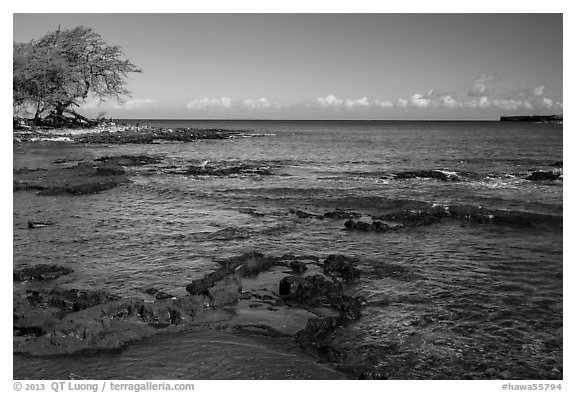 Rocks with bird in distance, Kiholo Bay. Big Island, Hawaii, USA (black and white)
