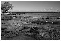 Rocks with bird in distance, Kiholo Bay. Big Island, Hawaii, USA (black and white)