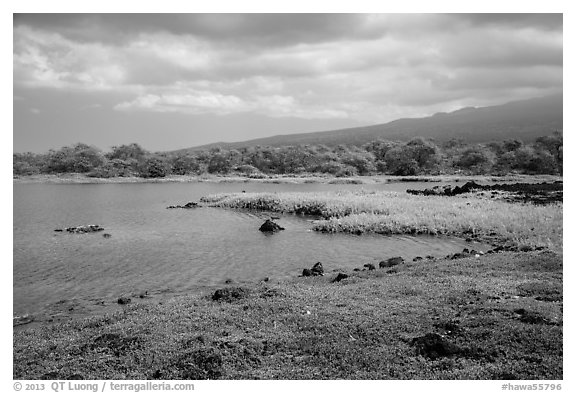 Kaloko fishpond, Kaloko-Honokohau National Historical Park. Hawaii, USA