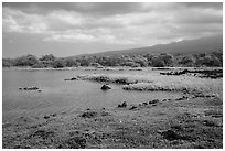 Kaloko fishpond, Kaloko-Honokohau National Historical Park. Hawaii, USA (black and white)