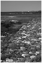 Kuapa (rock wall), Kaloko-Honokohau National Historical Park. Hawaii, USA (black and white)