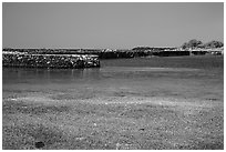 Kaloko fishpond and kuapa, Kaloko-Honokohau National Historical Park. Hawaii, USA ( black and white)