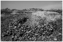 Ancient rock enclosures, Kaloko-Honokohau National Historical Park. Hawaii, USA (black and white)