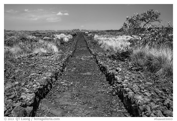 Ancient trail, Kaloko-Honokohau National Historical Park. Hawaii, USA (black and white)