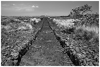 Ancient trail, Kaloko-Honokohau National Historical Park. Hawaii, USA ( black and white)