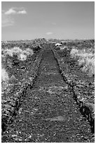 Ancient road made of lava rocks, Kaloko-Honokohau National Historical Park. Hawaii, USA (black and white)