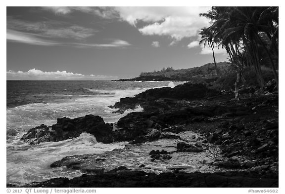 Jagged lava coastline, Puna. Big Island, Hawaii, USA (black and white)