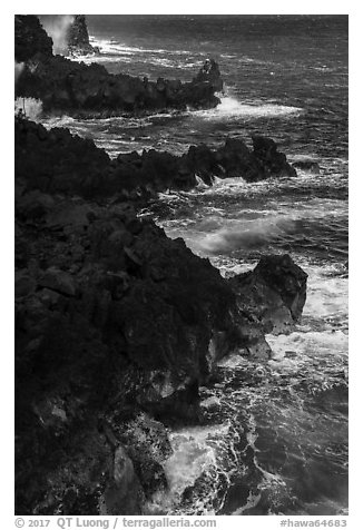 Jagged lava ribs and ocean, MacKenzie State Recreation Area. Big Island, Hawaii, USA (black and white)