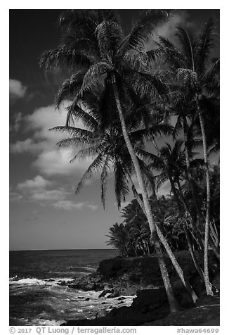 Puna coast. Big Island, Hawaii, USA (black and white)