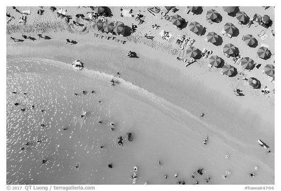 Aerial view of sun umbrellas and beachgoers looking down, Kuhio Beach. Waikiki, Honolulu, Oahu island, Hawaii, USA (black and white)