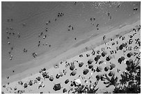 Aerial view of palm trees and beach with umbrellas looking down, Waikiki. Waikiki, Honolulu, Oahu island, Hawaii, USA ( black and white)