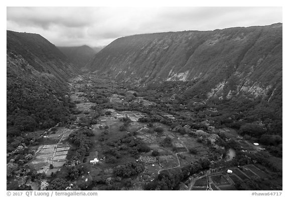 Aerial view of farmlands, Waipio Valley. Big Island, Hawaii, USA (black and white)
