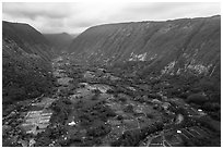 Aerial view of farmlands, Waipio Valley. Big Island, Hawaii, USA ( black and white)
