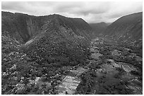 Aerial view of fields and steep slopes, Waipio Valley. Big Island, Hawaii, USA ( black and white)
