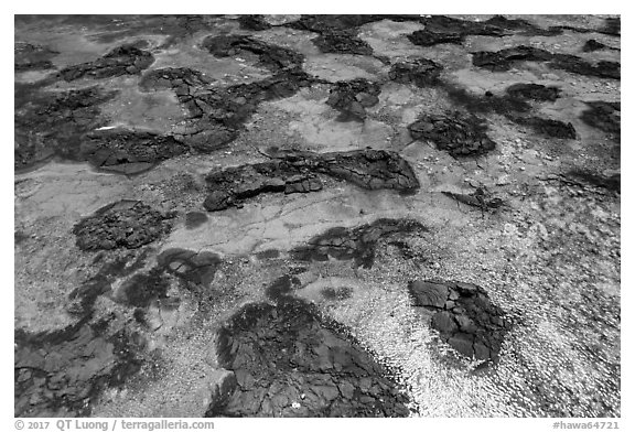 Aerial view of lava rocks and Kapoho tidepools. Big Island, Hawaii, USA (black and white)