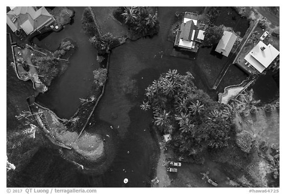Aerial view of Champagne Ponds area looking down. Big Island, Hawaii, USA (black and white)