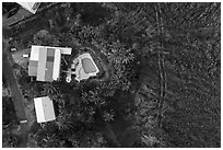 Aerial view of house and pool on edge of lava field. Big Island, Hawaii, USA ( black and white)