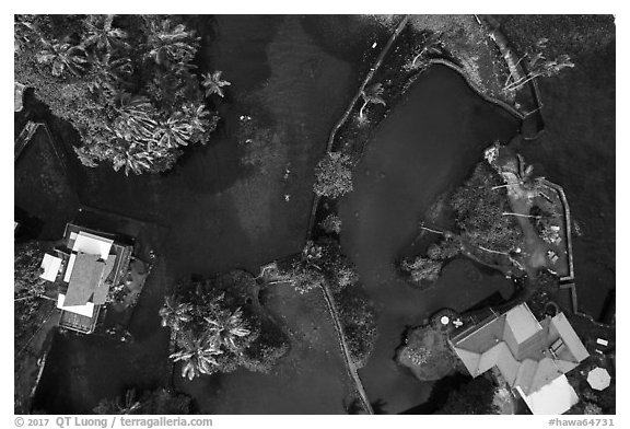 Aerial view of Champagne Ponds looking down. Big Island, Hawaii, USA (black and white)