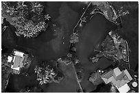 Aerial view of Champagne Ponds looking down. Big Island, Hawaii, USA ( black and white)