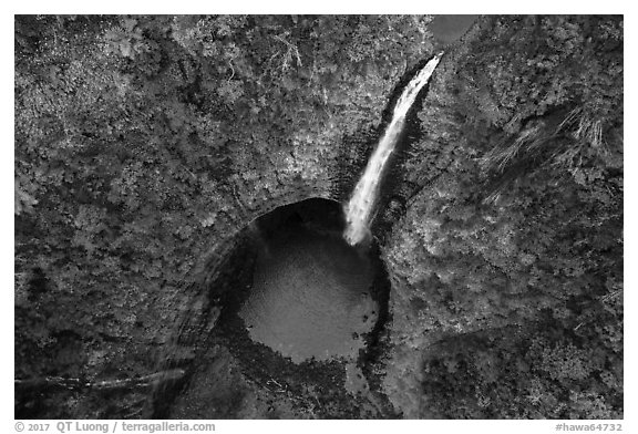 Aerial view of Akaka Falls looking down. Akaka Falls State Park, Big Island, Hawaii, USA (black and white)