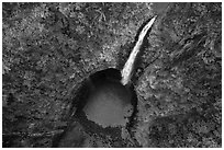 Aerial view of Akaka Falls looking down. Akaka Falls State Park, Big Island, Hawaii, USA ( black and white)