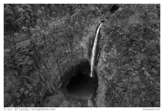 Aerial view of Akaka Falls dropping into luxuriant bowl. Akaka Falls State Park, Big Island, Hawaii, USA (black and white)