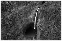 Aerial view of Akaka Falls dropping into luxuriant bowl. Akaka Falls State Park, Big Island, Hawaii, USA ( black and white)