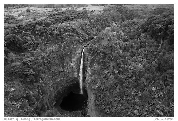 Aerial view of Akaka Falls and tropical forest. Akaka Falls State Park, Big Island, Hawaii, USA (black and white)
