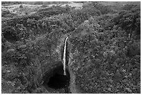 Aerial view of Akaka Falls and tropical forest. Akaka Falls State Park, Big Island, Hawaii, USA ( black and white)