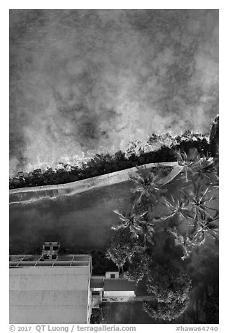 Aerial view of Hulihee Palace, palm trees, and coast looking down. Hawaii, USA (black and white)