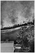 Aerial view of Hulihee Palace, palm trees, and coast looking down. Hawaii, USA ( black and white)