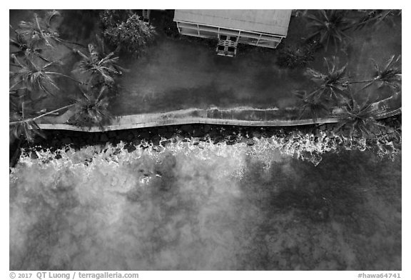 Aerial view of Hulihee Palace, palm trees, and coastline. Hawaii, USA (black and white)