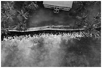 Aerial view of Hulihee Palace, palm trees, and coastline. Hawaii, USA ( black and white)