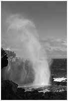 Nakalele blowhole. Maui, Hawaii, USA ( black and white)