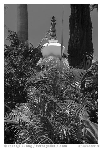 Tropical vegetation and buddisht chorten, Paia. Maui, Hawaii, USA (black and white)