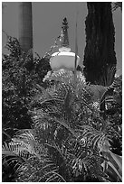 Tropical vegetation and buddisht chorten, Paia. Maui, Hawaii, USA ( black and white)