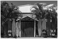 Door framed with surfboards, Paia. Maui, Hawaii, USA ( black and white)