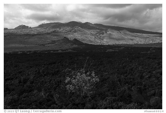 Lava fields, Ahihi-Kinau Natural Area Reserve with Haleakala in background. Maui, Hawaii, USA