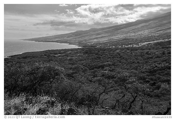 Coast and dry vegetation, Piilani Highway. Maui, Hawaii, USA (black and white)