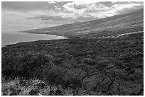 Coast and dry vegetation, Piilani Highway. Maui, Hawaii, USA ( black and white)