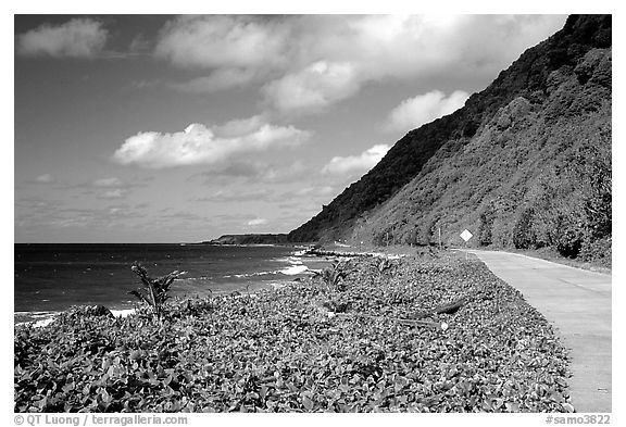 The road between Fitiuta and Luma. American Samoa (black and white)