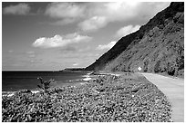 The road between Fitiuta and Luma. American Samoa ( black and white)