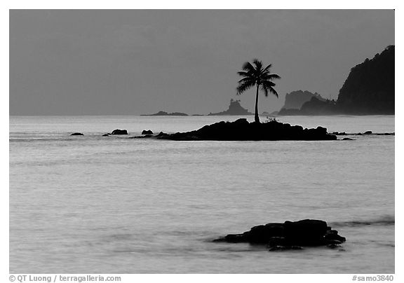 Lone coconut tree on a islet in Leone Bay, dusk. Tutuila, American Samoa