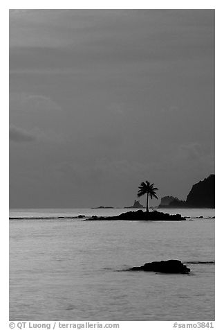 Coconut tree on islet in Leone Bay, dusk. Tutuila, American Samoa (black and white)