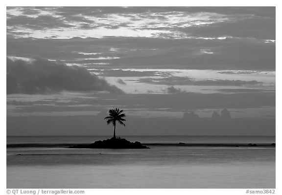 Lone palm tree on a islet in Leone Bay, dusk. Tutuila, American Samoa