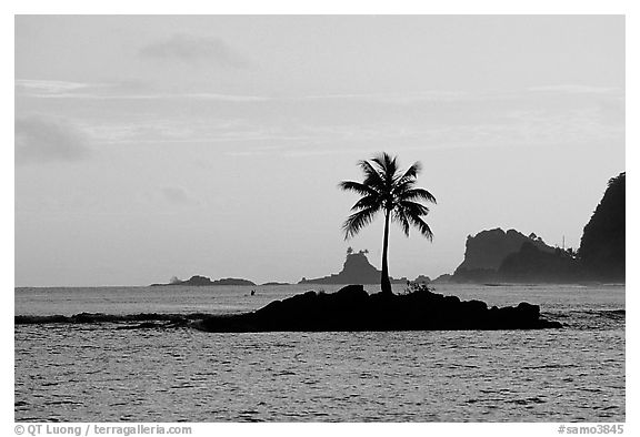 Coconut tree on islet in Leone Bay, sunset. Tutuila, American Samoa (black and white)